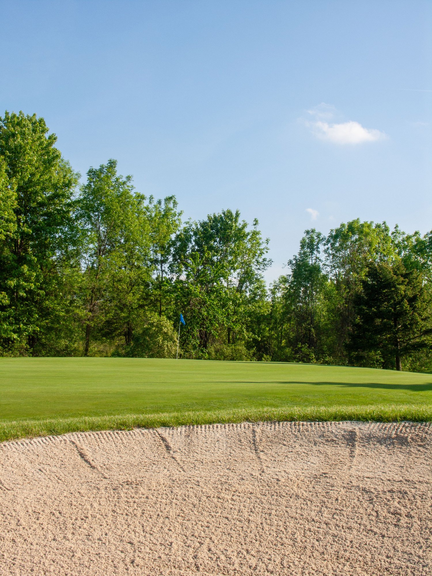 Hole 12 green with front bunker