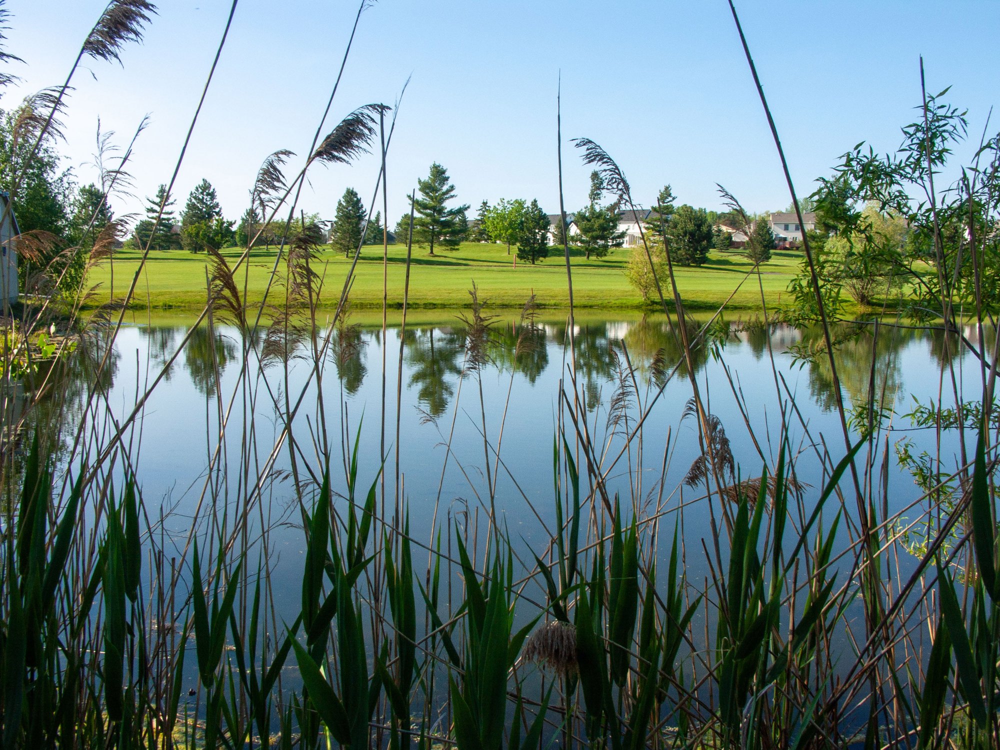 Hole 6 pond reflections
