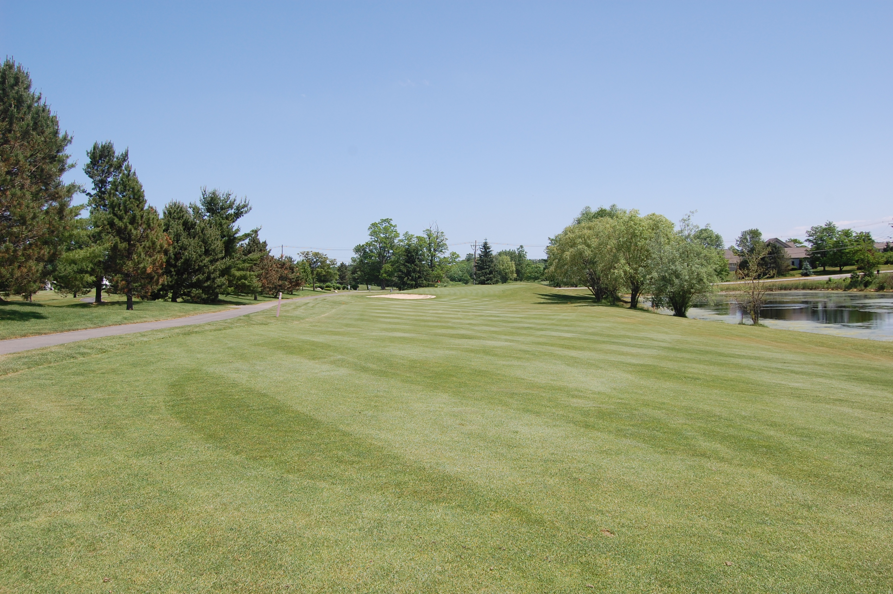 Hole 6 Fairway View 2