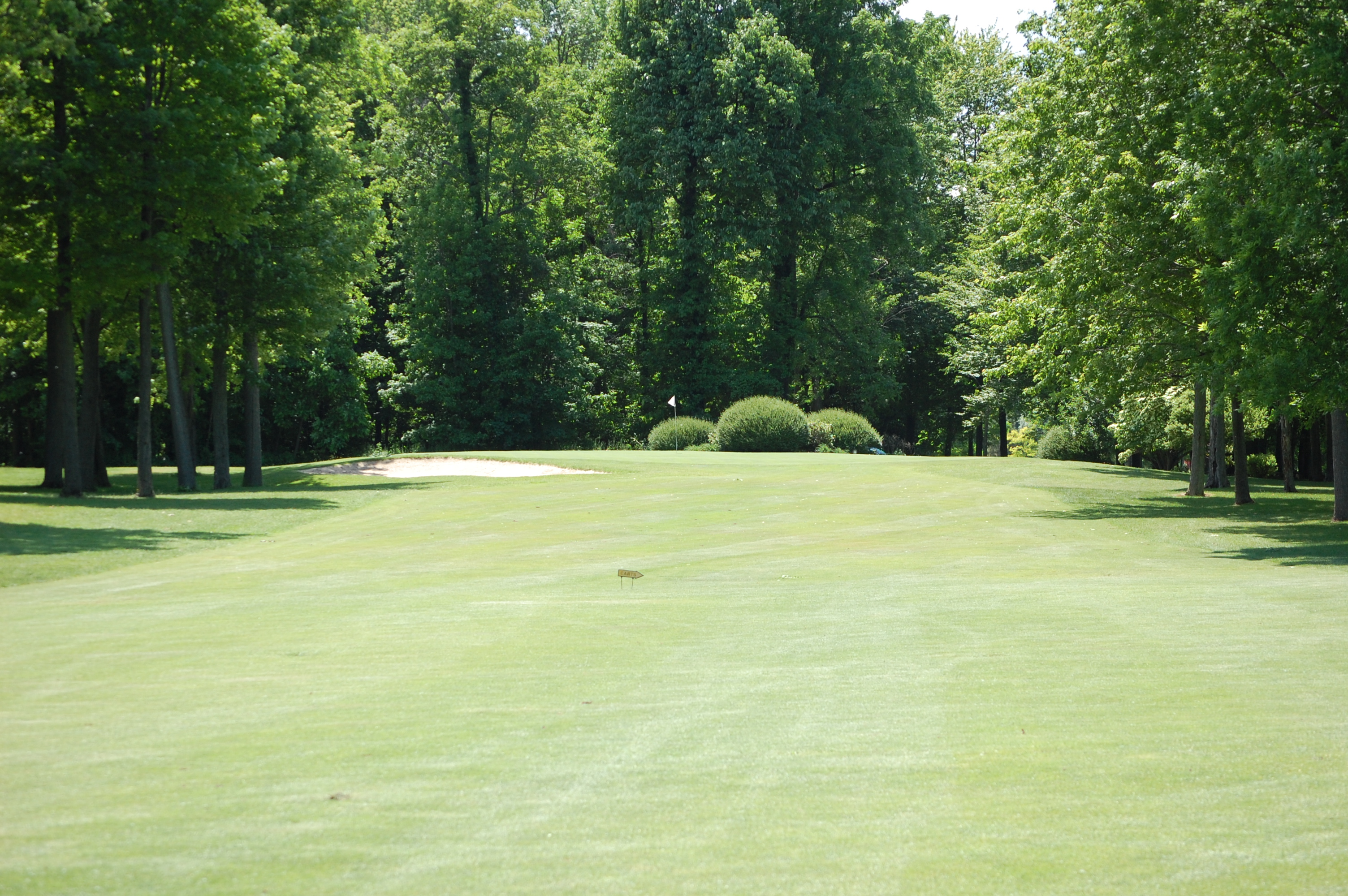 Golf Course Landscape